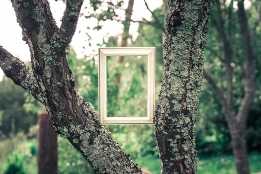 Empty picture or photo frame.