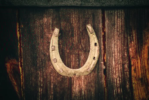 Wooden texture. Natural background. photo