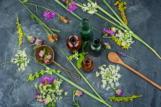 Bottles of tincture, medicinal herbs photo