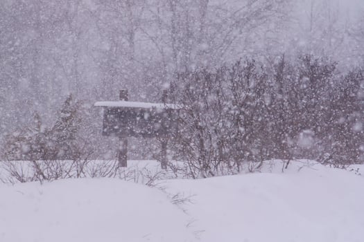 Detail of winter nature in countryside. photo