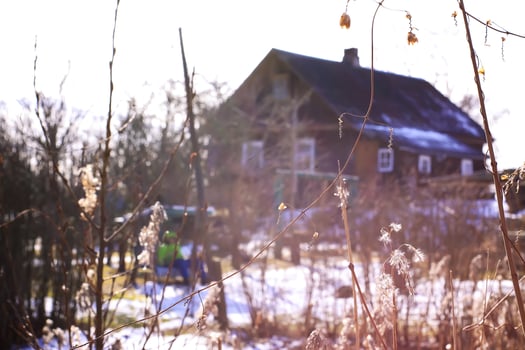 Rural house building behind the dry bare plants in winter day. photo
