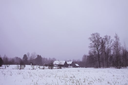 Beautiful winter landscape with rural house buildings and trees in snow photo