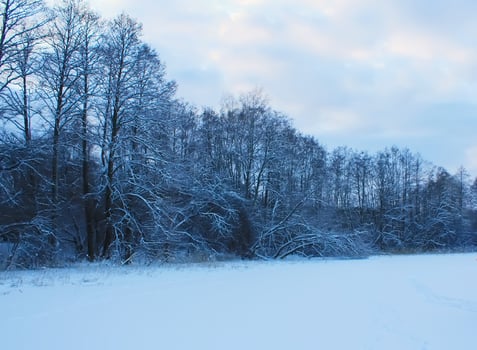 Winter landscape in the countryside. Latvia, East Europe. photo
