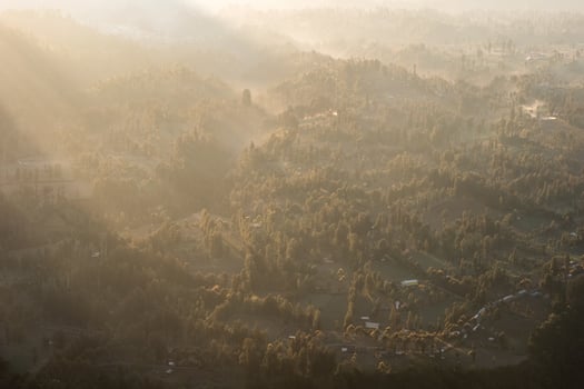 Above of Sunlight on tropical forest with fog at morning photo