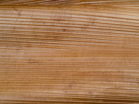 Close up bark of palm tree background. photo