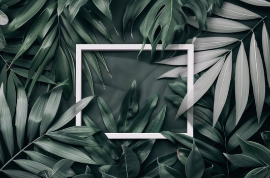 White Frame Surrounded by Tropical Leaves photo