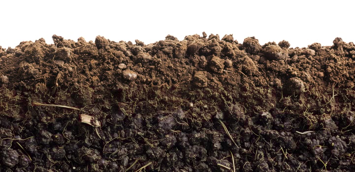 Soil, Isolated on White photo