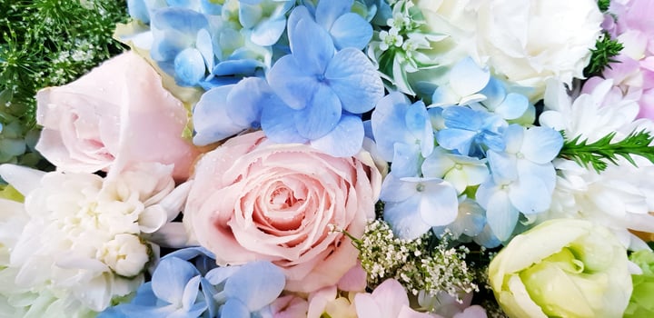 Beautiful flower bouquet blooming. Beauty of flora or floral, Nature, Plant, Celebration and Valentine day concept. photo