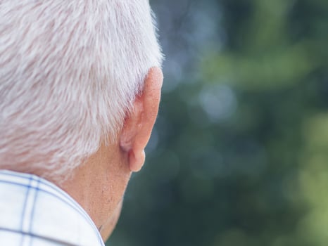 Back view of head an elderly man with short gray hair while standing outdoors. Close-up. Space for text. Aged people and relaxation concept photo