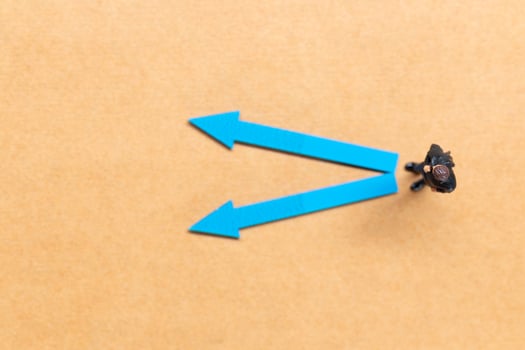 A miniature people stands at the intersection of colorful arrows on a light brown background photo