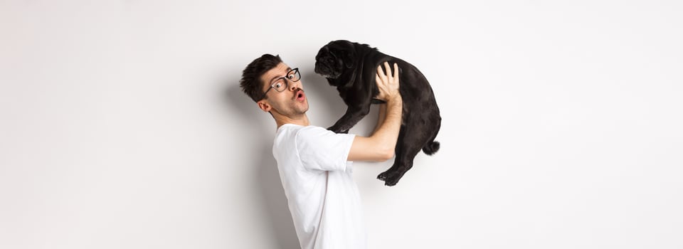 Image of handsome young man loving his pug. Dog owner holding puppy and smiling happy at camera, standing over white background photo