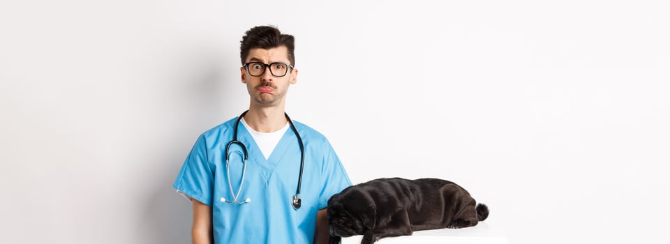 Tired black dog pug lying near handsome male doctor at veterinary clinic, veterinarian staring confused at camera, standing over white background photo