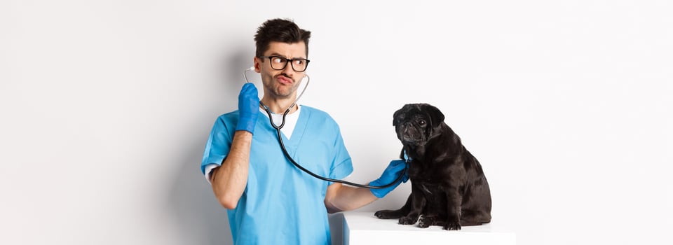 Confused male doctor veterinarian checking dog with stethoscope, looking puzzled, standing over white background photo