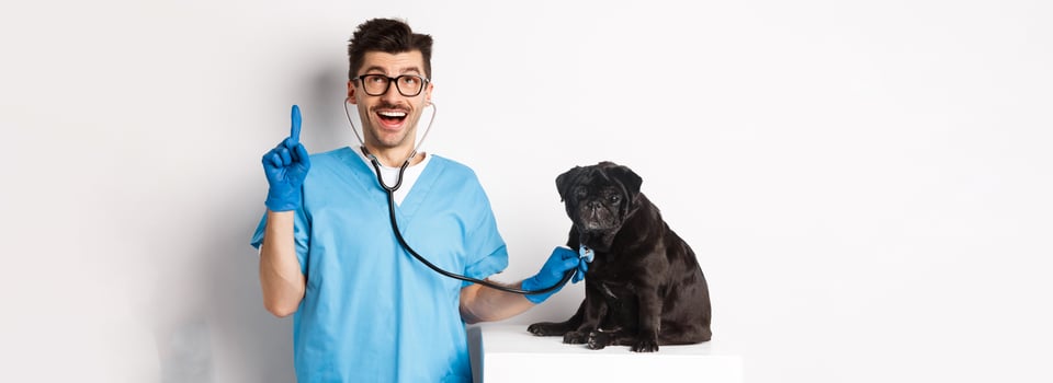 Handsome doctor veterinarian smiling, examining pet in vet clinic, checking pug dog with stethoscope, pointing finger up at promo banner, white background photo