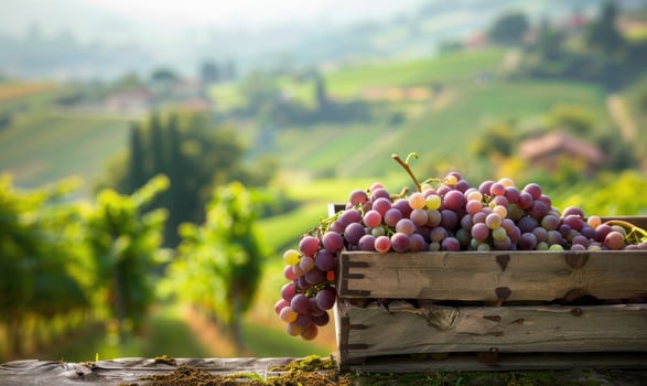 Grapes in a crate with a scenic countryside background photo