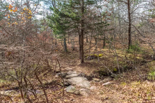 Natural stone bridge in the forest photo