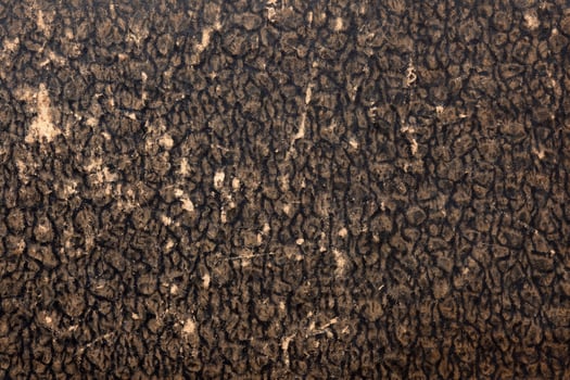 texture covers of ancient books photo