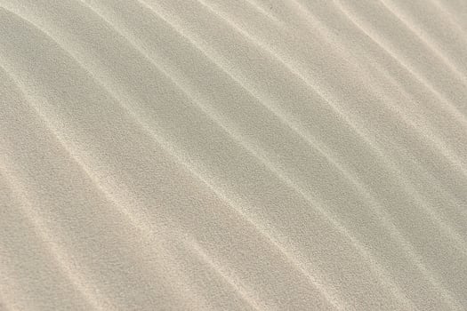 The Desert is a Unique Beauty photo