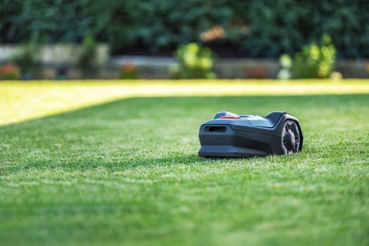Robot Lawn Mower Operating on a Well-Manicured Lawn in Bright Daylight photo