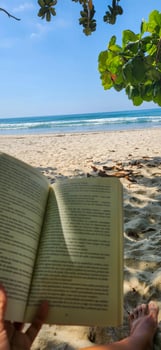 reading a book on a sunny day at the beach photo