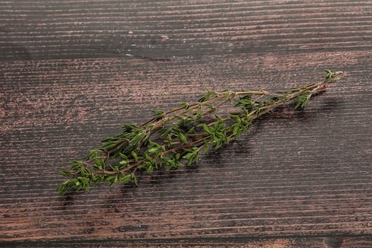 Thyme - aromatic seasoning herbal plant photo