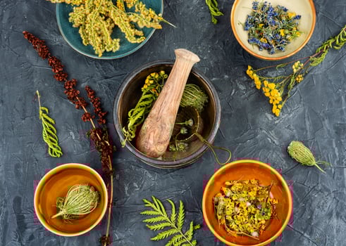 Medicinal herbs, alternative medicine. photo
