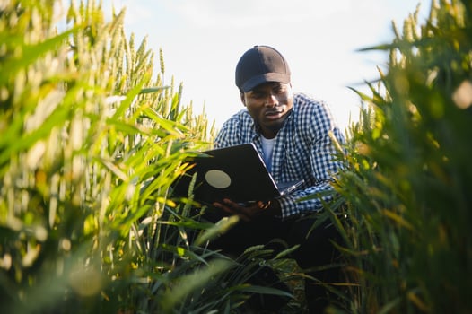 African farmer using a laptop for research rice in organic farm field.Agriculture or cultivation concept photo