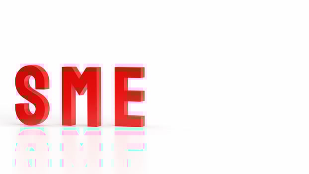 The sme text for Business concept 3d rendering. photo
