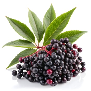 Assorted Berries, Vibrant and Fresh Collection of Juicy Fruits photo