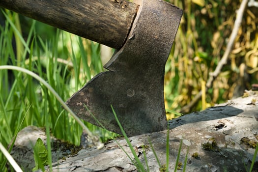 Close-up of an axe embedded in wood surrounded by green grass photo