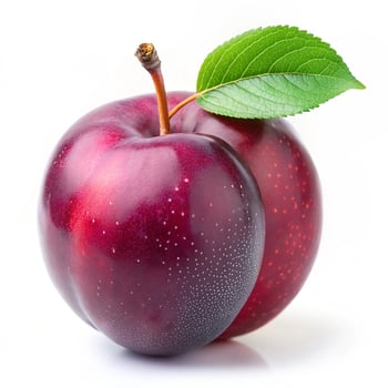 Fresh and Juicy Plum Fruit Photography photo