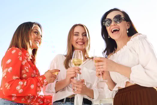 Adult women with wineglasses in sunlight photo