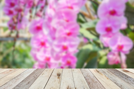 Empty wood table top with blur orchid garden background for product display photo