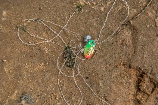 Fishing lure discarded photo