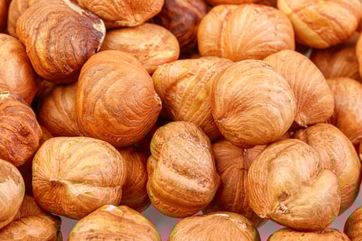 macro hazelnuts nuts on a white background photo
