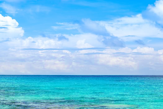 Beautiful landscape of the Indian Ocean coast photo
