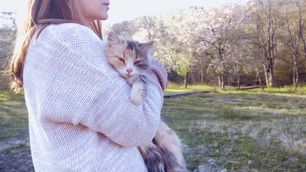 Woman holding cat on blurred background. Concept of volunteering photo