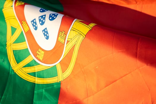 Close-up photography of national flag of Portuguese Republic photo