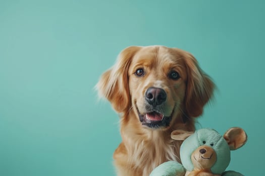 Dog with Mint Toy in a Fun Play Pose on a Background with   Elements photo