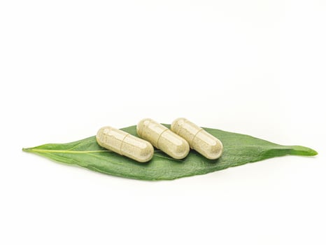 Close-up of three Andrographis paniculata capsules placed on green leaves isolated on white background. Space for text. Herbal, medicine, and healthcare concept photo