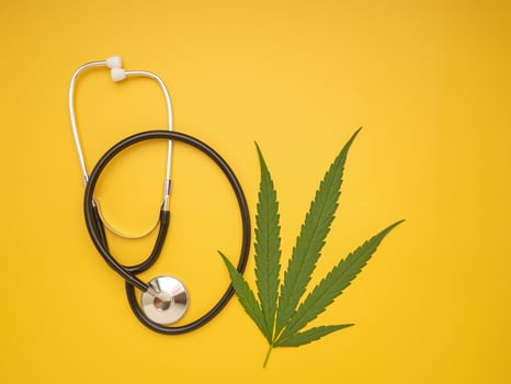 Flat lay of green cannabis leaves and a stethoscope isolated on yellow background. Alternative medicine. Growing organic cannabis herb on the farm. Marijuana plantation for medical concept photo