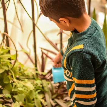 Cute 5 year old Asian little boy is watering the plant in the pots located at house balcony, Love of sweet little boy for the mother nature during watering into plants, Kid Planting photo
