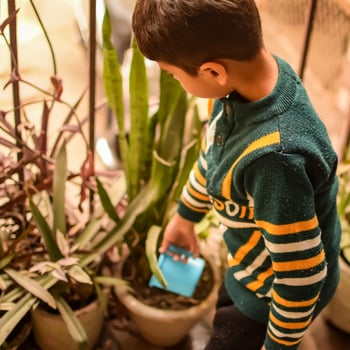 Cute 5 year old Asian little boy is watering the plant in the pots located at house balcony, Love of sweet little boy for the mother nature during watering into plants, Kid Planting photo