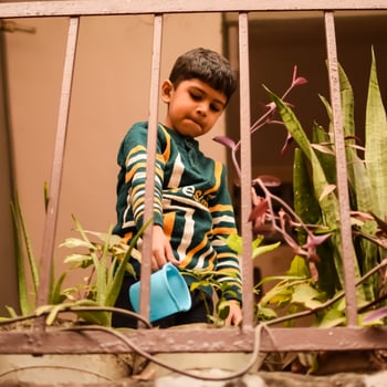 Cute 5 year old Asian little boy is watering the plant in the pots located at house balcony, Love of sweet little boy for the mother nature during watering into plants, Kid Planting photo