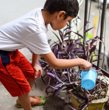 Cute 5 year old Asian little boy is watering the plant in the pots located at house balcony, Love of sweet little boy for the mother nature during watering into plants, Kid Planting photo