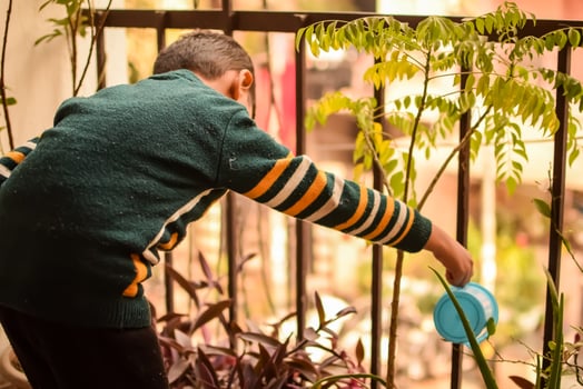 Cute 5 year old Asian little boy is watering the plant in the pots located at house balcony, Love of sweet little boy for the mother nature during watering into plants, Kid Planting photo