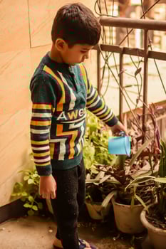 Cute 5 year old Asian little boy is watering the plant in the pots located at house balcony, Love of sweet little boy for the mother nature during watering into plants, Kid Planting photo