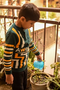 Cute 5 year old Asian little boy is watering the plant in the pots located at house balcony, Love of sweet little boy for the mother nature during watering into plants, Kid Planting photo