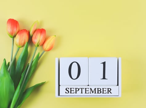 flat lay of wooden calendar with date September 01 on yellow background with orange and yellow tulips, copy space. photo