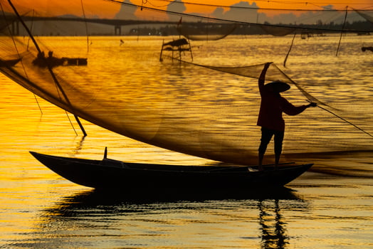 View of unidentified fisherman checks his nets in early morning on river in Hoi An ancient town, Quang Nam Province, Vietnam photo